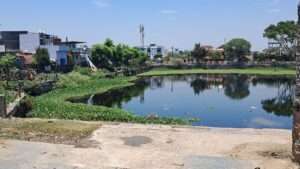 बिलासपुर में बारिश का पानी नहीं पहुंच रहा धरती पर, ऐसे में कुछ सालो में पीने के पानी को तरसेगा शहर, गहराता जल संकट पहुंचा खतरे के निशान के ऊपर